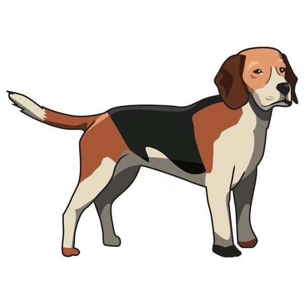 English Foxhound Dog Decal, Dog Lover Decor Vinyl Sticker, Signmission, Mfr#: D-12-English Foxhound